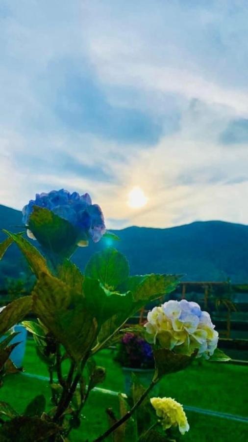 Ha Lu Homestay Lao Cai Exterior photo